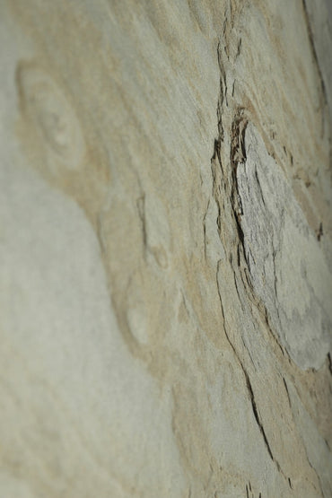 California Gold Stone Veneer