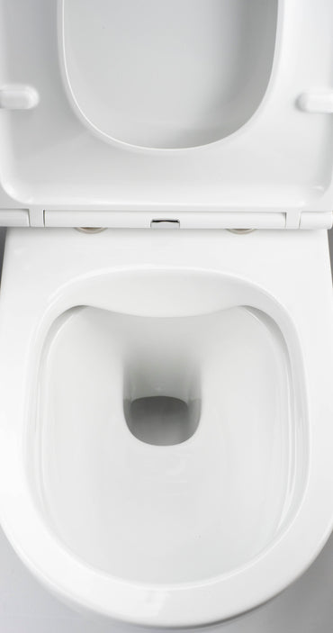 Toilet bowl, with seat, rimless