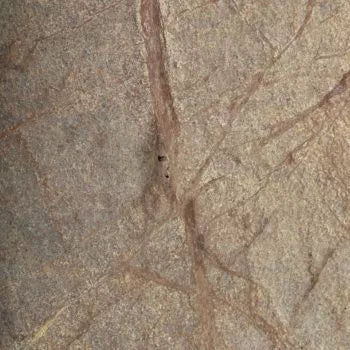 Forest Brown Stone Veneer