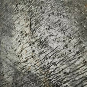 Gold Green Stone Veneer