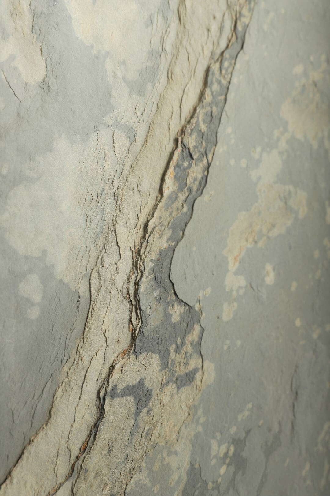 Autumn Rustic Stone Veneer