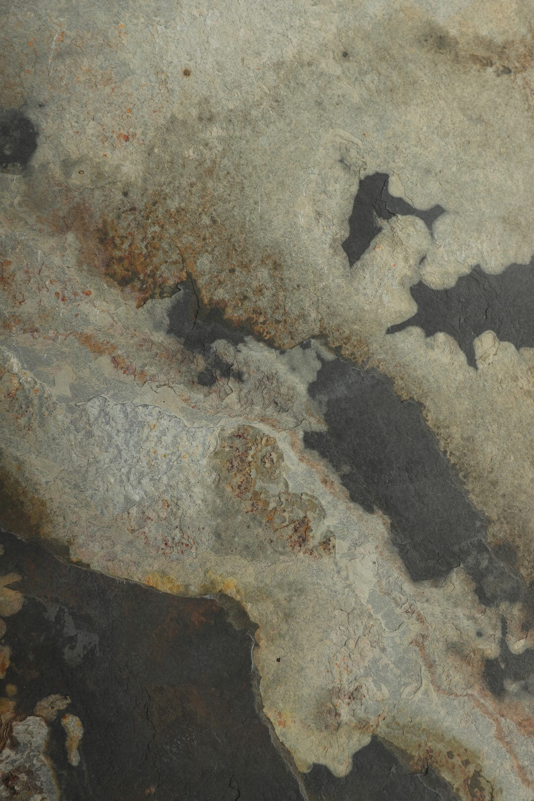 Autumn Rustic Stone Veneer