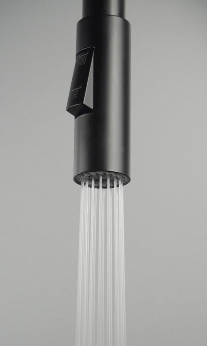 Hand shower, for kitchen taps, Luno