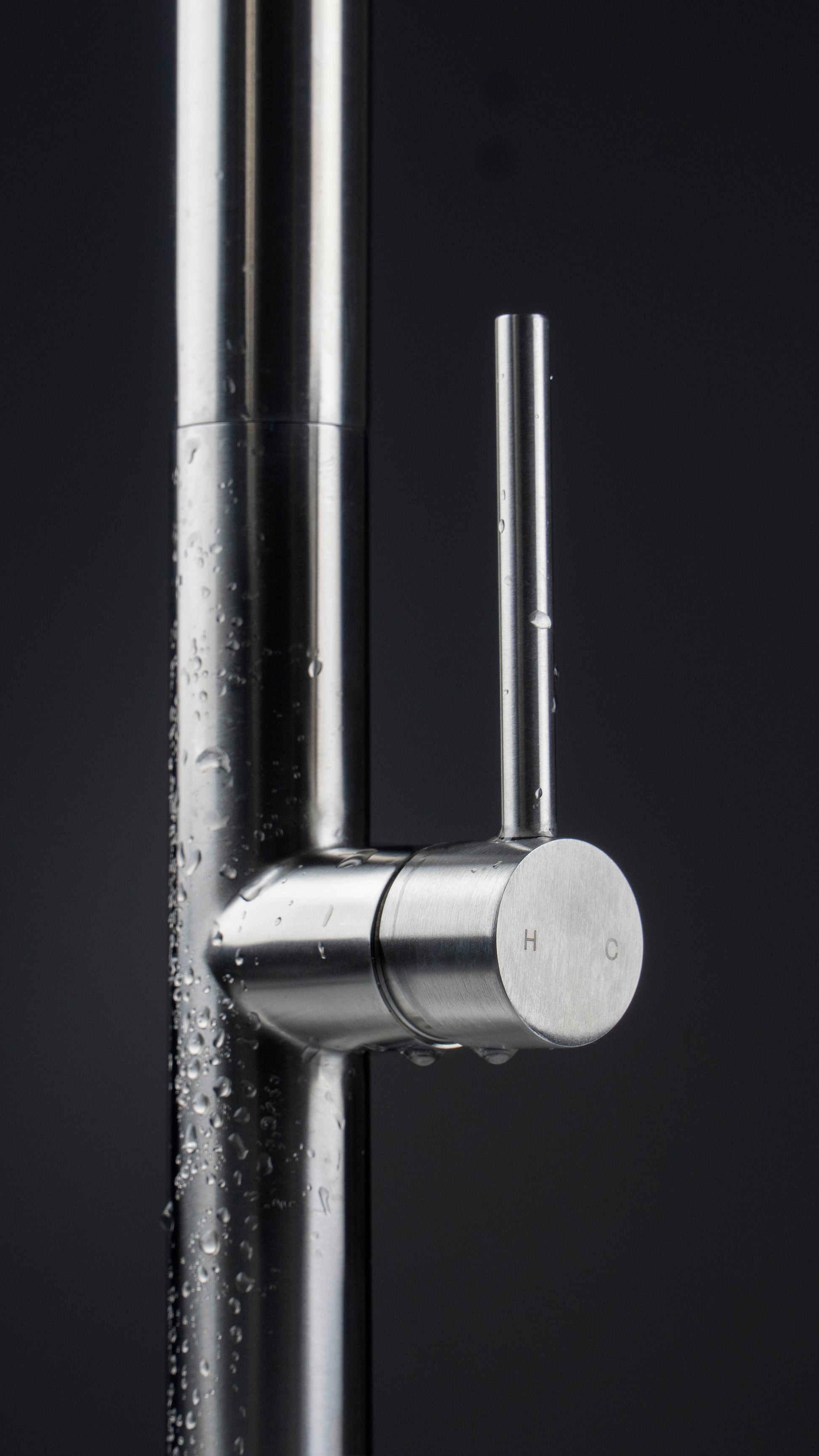 Kitchen tap, with pull-out spout - 2 stream types