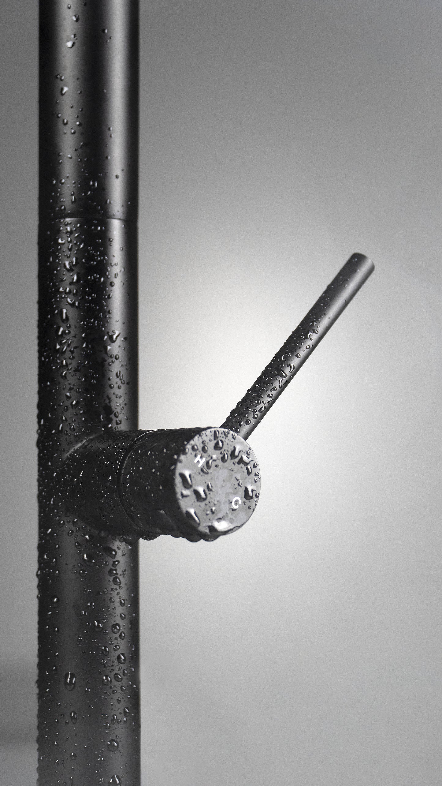 Kitchen tap, with pull-out spout - 2 stream types