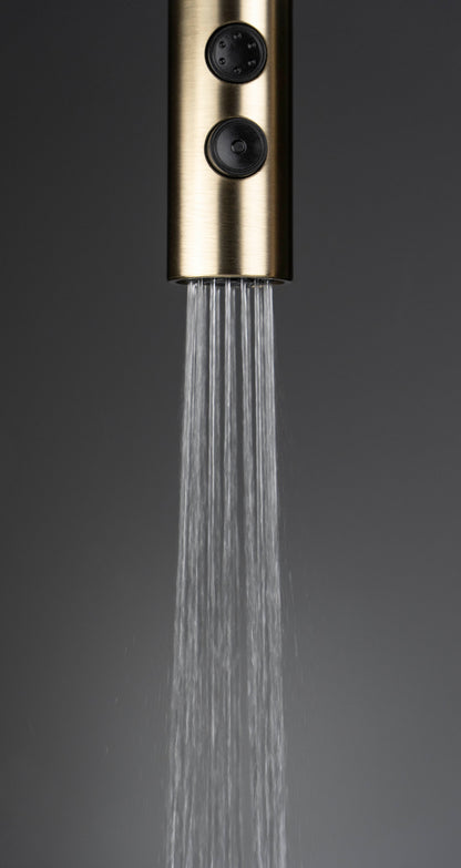 Kitchen tap, with pull-out spout - 2 stream types