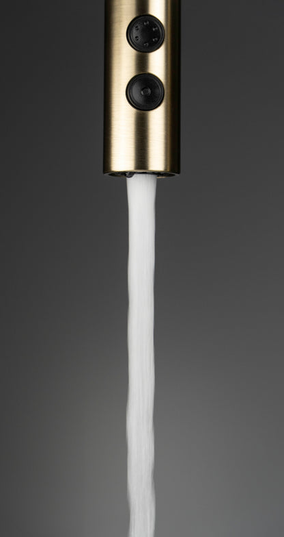 Kitchen tap, with pull-out spout - 2 stream types