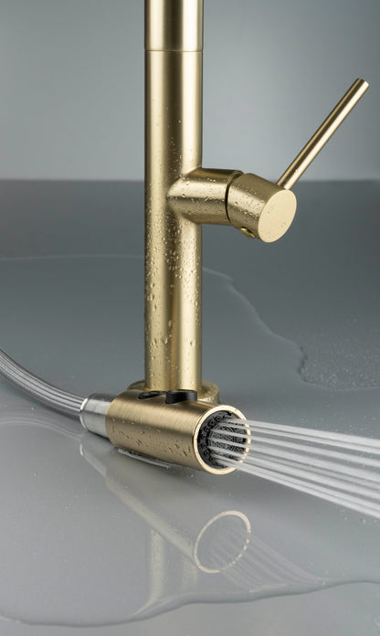 Kitchen tap, with pull-out spout - 2 stream types
