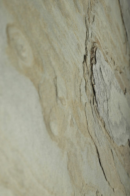 California Gold Stone Veneer