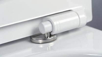 Toilet bowl, with seat, rimless