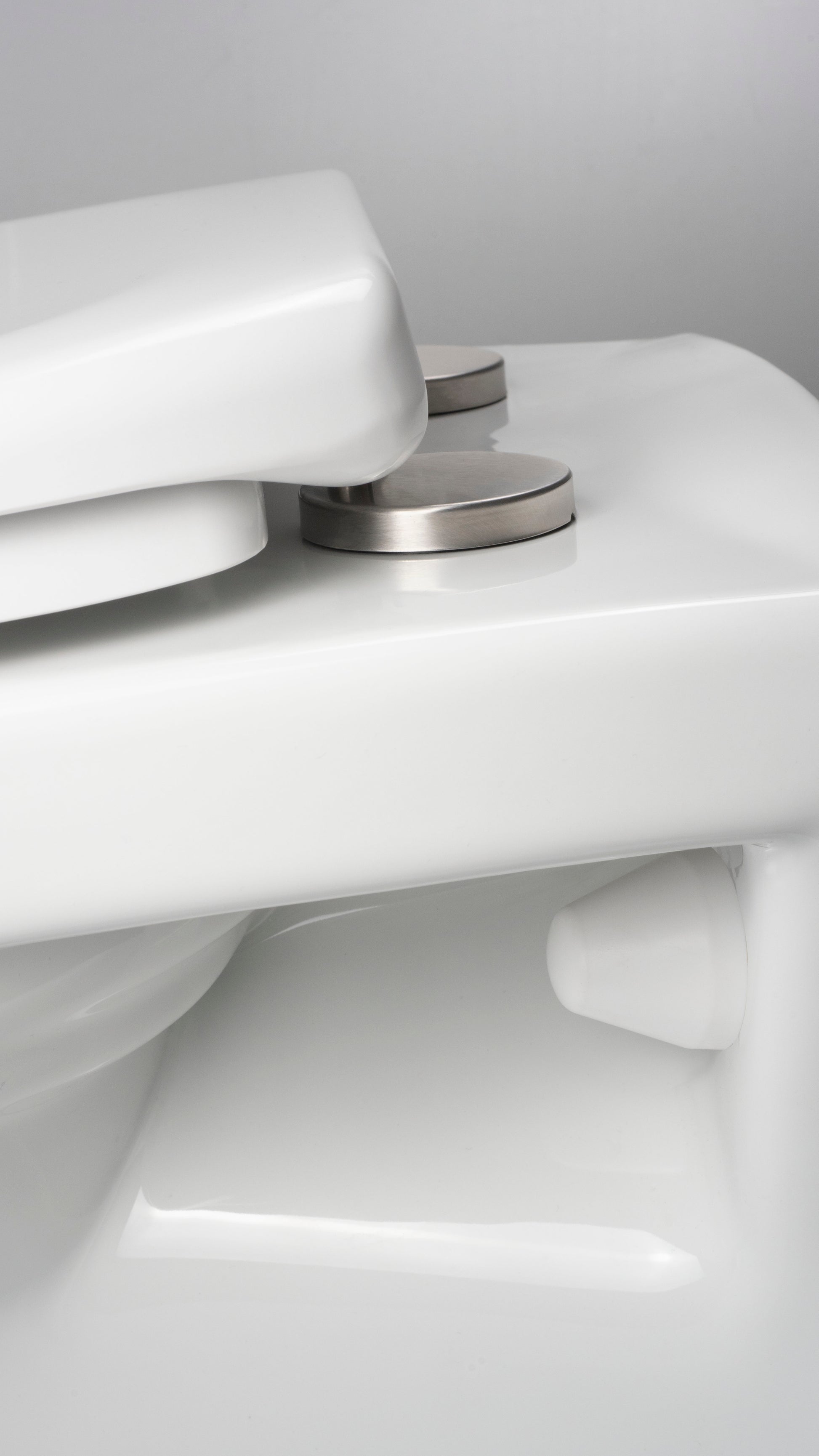 Toilet bowl, with seat, rimless