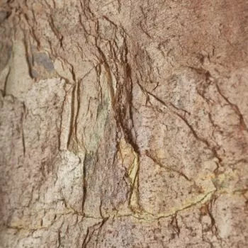 Copper Shine Stone Veneer