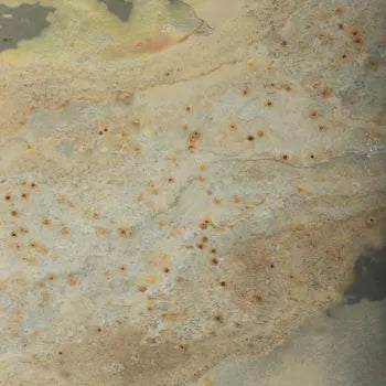 Indian Autumn Stone Veneer