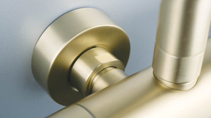 Shower column, with shower mixer