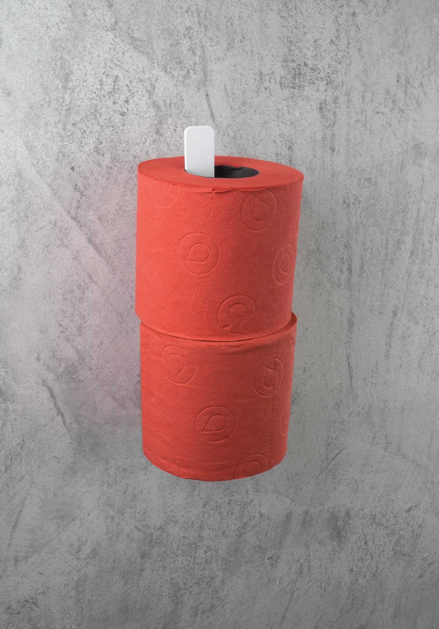 Toilet paper store holder