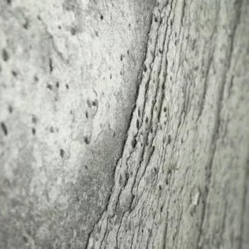 Silver Grey Stone Veneer