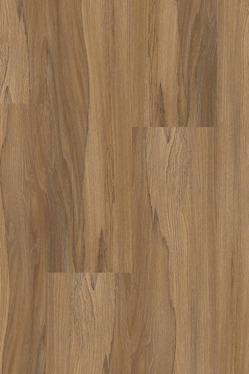marsh-wood-1.jpg